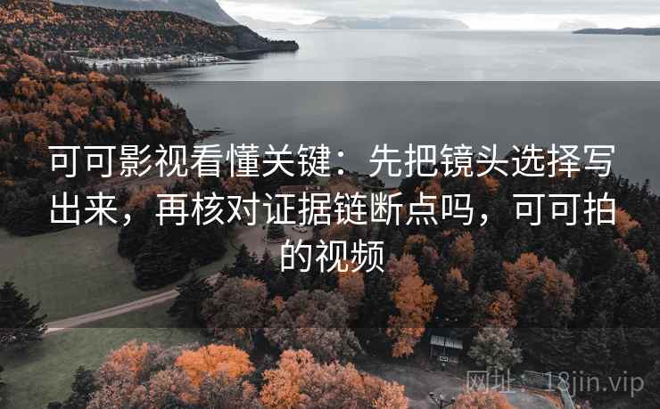 可可影视看懂关键：先把镜头选择写出来，再核对证据链断点吗，可可拍的视频
